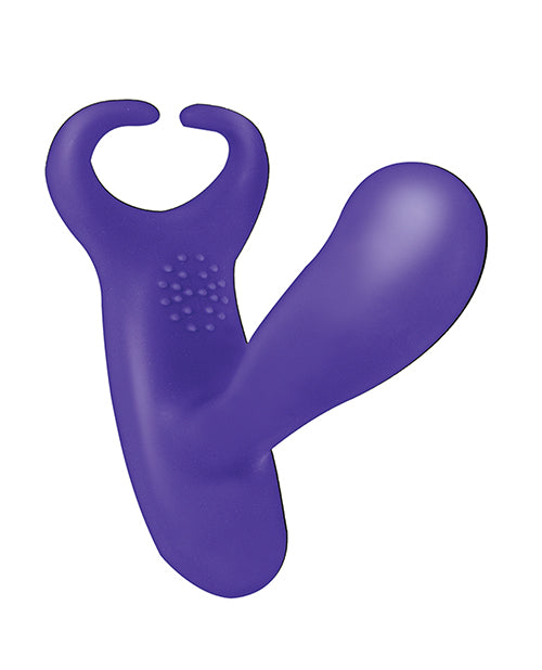 Anal-Ese Collection Remote Control Heat Up P-Spot & Testicle Stimulator - Purple