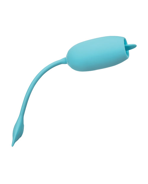 Rechargeable Kegel Teaser - Assorted Colors