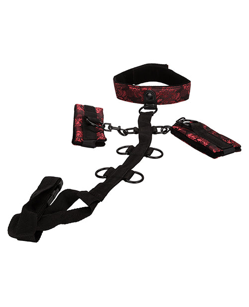 Scandal Collar Body Restraint - Black/Red