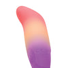 Play With Me Dolphin Dreams - Multi Color