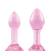 b-Vibe Pink Roses Training Set