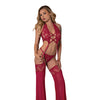 Black Cherry Plunge Top w/Removable Chaps & Cheeky Panty Set - Red S/M