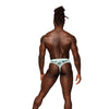 Sheer Prints Mesh Poly Spandex Thong Flamingo S/M