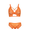 Amina Scallop Lace & Mesh Bralette w/Panty 2 pc Set - Dragon Fire Orange S/M