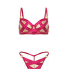 Raelynn Satin Strappy Underwire Bra w/G-String 2 pc Set - Pink Yarrow SM