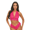 Maylah Mesh & Lace Halter 2 pc Set - Pink S/M