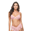Leyla Lace and Mesh Underwire 2 pc Set - Pink S/M