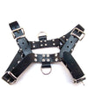 Rouge Over the Head Harness