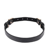 Sex & Mischief Double Buckle Day Collar
