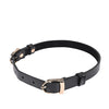 Sex & Mischief Double Buckle Day Collar