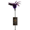 Body Tickler Starburst Feather
