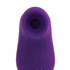 VeDo Nami Rechargeable Sonic Vibe - Assorted Colors