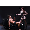 Master Series Kinky Couch Sex Chaise Lounge - Expensive Shipping, Drop Ship Only