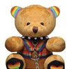 Master Series Pride Bear