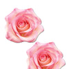 Pastease Premium Glitter Velvet Blooming Rose - Pink O/S