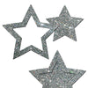 Pastease Premium Glitter Peek a Boob Stars - Silver O/S