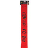 Bride to Be Flashing Sash