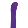 Adam & Eve Eve's Orgasmic G Silicone Vibrator - Purple