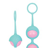 Adam & Eve Eve's Kegel Training Set - Pink/Teal