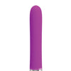Pretty Love Randolph Light-Up Vibrator 12 Function - Fuchsia