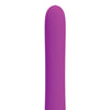 Pretty Love Randolph Light-Up Vibrator 12 Function - Fuchsia