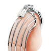 Blue Line Prisoner Cock Cage - Silver