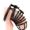 Blue Line Deluxe Chastity Cage - Black