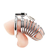 Blue Line Deluxe Chastity Cage - Silver
