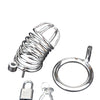 Blue Line Deluxe Chastity Cage - Silver