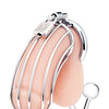 Blue Line Cock Cage w/Anal Stimulator - Silver