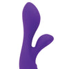 The Silver Swan Special Edition - Purple