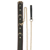Spartacus Collar & Leash - Brown Leather w/Gold Accent Hardware