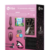 b-Vibe 5 Year Anniversary Collection Novice Remote Control Plug Set - Galaxy Plum