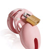 CB-6000S 2 1/2" Cock Cage & Lock Set - Pink