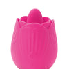 Skins Rose Buddies The Rose Flix - Pink