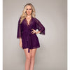 Stretch Mesh Chemise & Robe - Plum