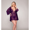 Stretch Mesh Chemise & Robe - Plum