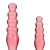 Crystal Jellies Anal Delight Trainer Kit