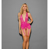Euphoria Mesh Bustier w/Hose Hot Pink O/S