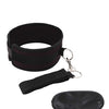 Lux Fetish Collar & Leash Set
