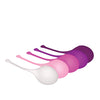 Evolved Tight & Delight 5 pc Weighted Kegel Ball Set - Assorted Colors