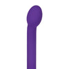 Evolved Sweet Spot - Purple