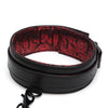 Fifty Shades of Grey Sweet Anticipation Collar & Leash