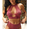 Vixen Just Like Magic Stretch Net Halter Top & Panty Mulberry L/XL