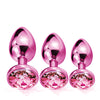 Nixie Metal Butt Plug Trainer Set w/Inlaid Jewel - Pink Metallic