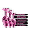 Nixie Metal Butt Plug Trainer Set w/Inlaid Jewel - Pink Metallic