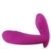 Bliss Power Punch Thrusting Vibe