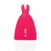 Happy Rabbit Panty Vibe (Non Remote) - Pink