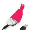 Happy Rabbit Panty Vibe (Non Remote) - Pink