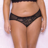 Scallop Lace & Mesh Hipster Panty Black 3X